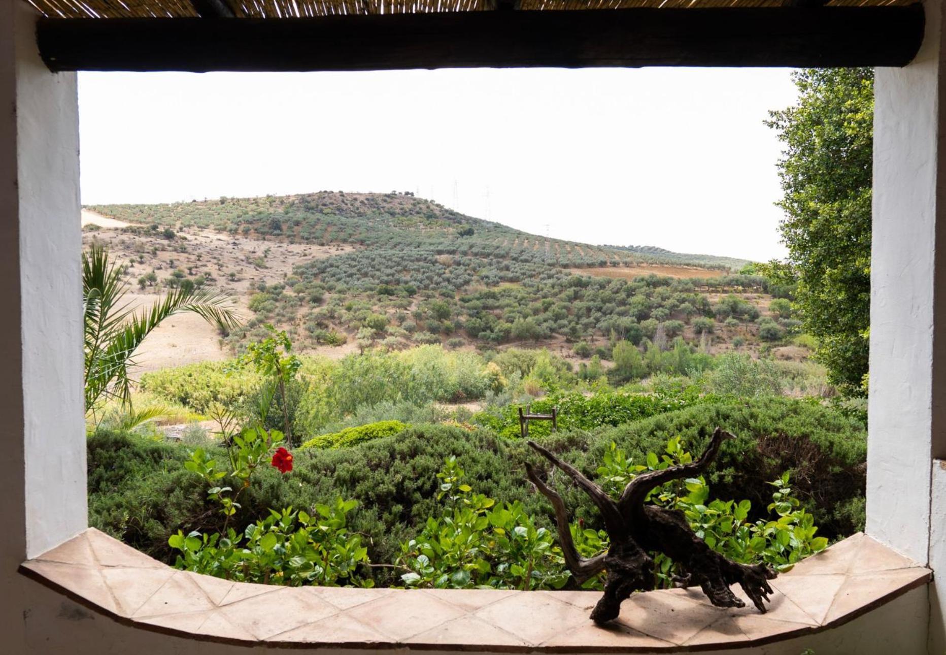 Finca Dariana Padel & Pool Alora Luaran gambar
